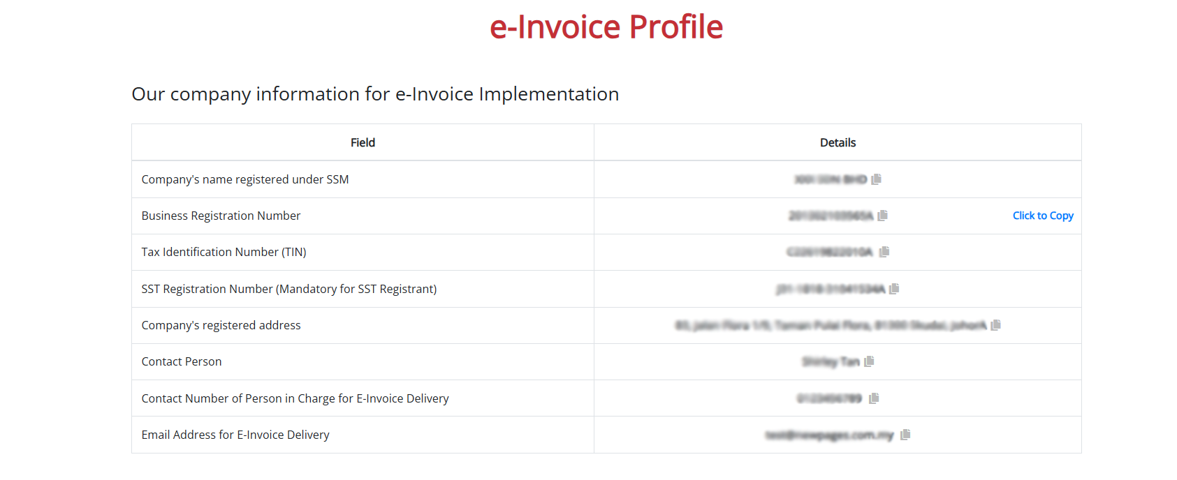 How does the E-Invoice Customer Profile work? | Picture 7