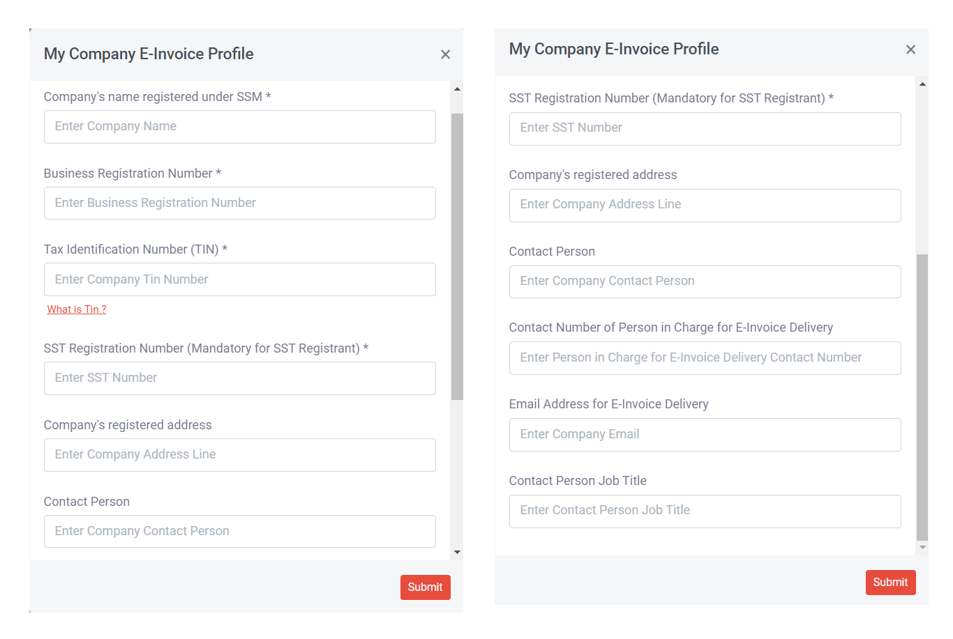 How does the E-Invoice Customer Profile work? | Picture 5