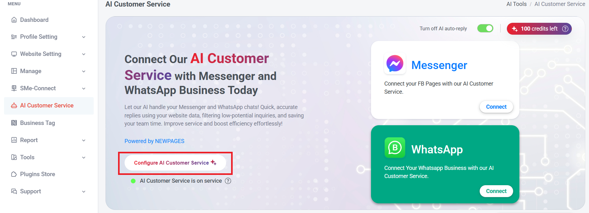 Introduction of AI Customer Service | Picture 8