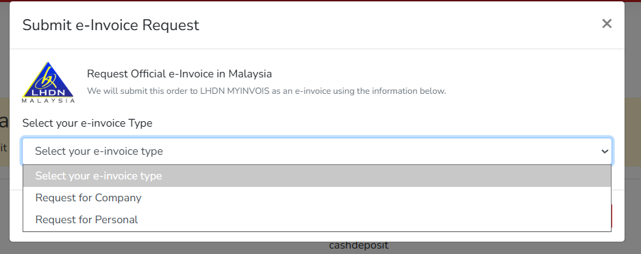 How to Setup E-Invoice Request | Picture 13
