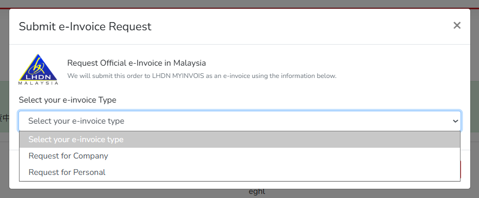 How to Setup E-Invoice Request | Picture 18